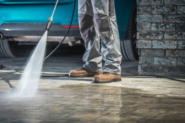 Best Boat and Dock Cleaning  in Edgewood, FL
