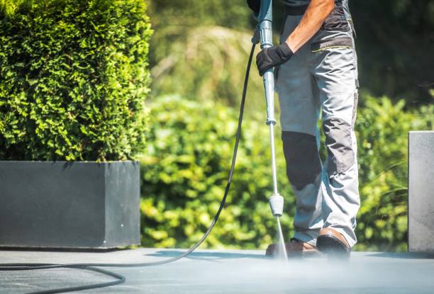 Best Animal Enclosure Cleaning  in Edgewood, FL