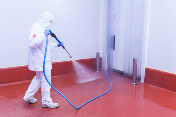 Best Parking Lot and Garage Cleaning  in Edgewood, FL