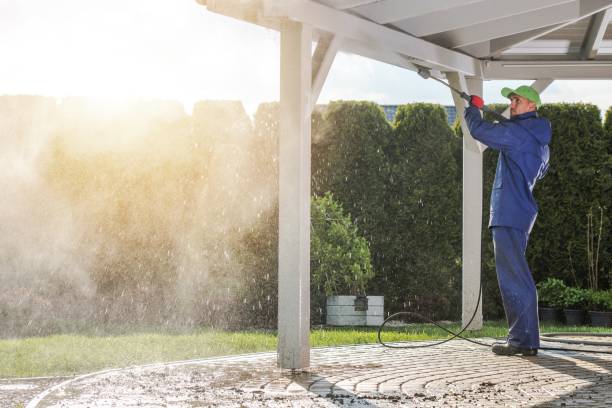 Best Fleet Vehicle Washing  in Edgewood, FL