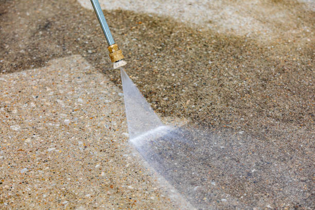 Best Building Exterior Washing  in Edgewood, FL