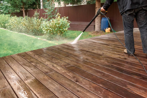 Best Solar Panel Cleaning  in Edgewood, FL